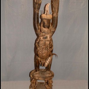 Rainman large Rainman large