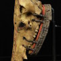 Ritual Ceremony Skull of Animal Africa